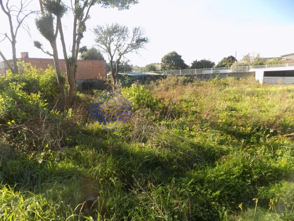 Terreno para Venda em Nogueira da Regedoura Foto 1