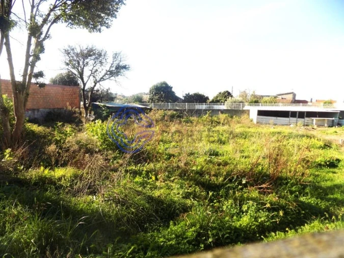 Terreno para Venda em Nogueira da Regedoura Foto 2