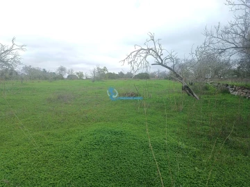 Terreno para Venda em Albufeira e Olhos de Água