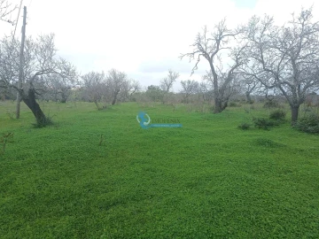 Terreno para Venda em Albufeira e Olhos de Água