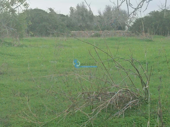 Terreno para Venda em Albufeira e Olhos de Água Foto 4