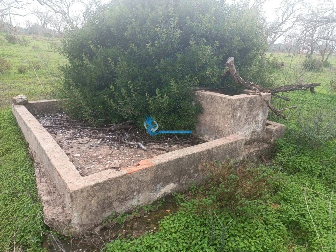 Terreno para Venda em Albufeira e Olhos de Água Foto 2