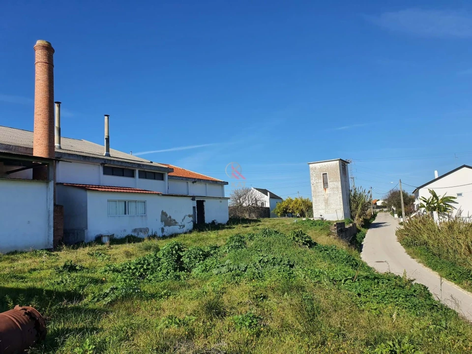 Negócio para Venda em Alcanhões Foto 6