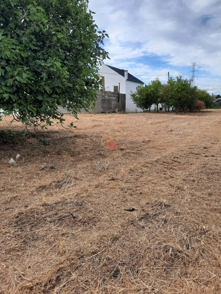 Negócio para Venda em Alcanhões Foto 10