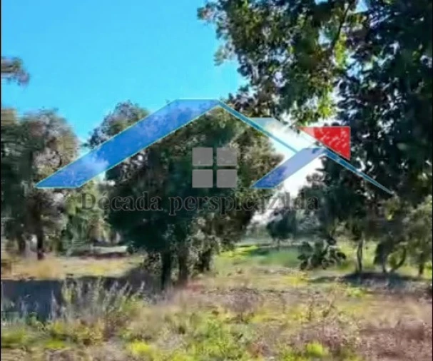 Terreno para Venda em Coruche, Fajarda e Erra Foto 3