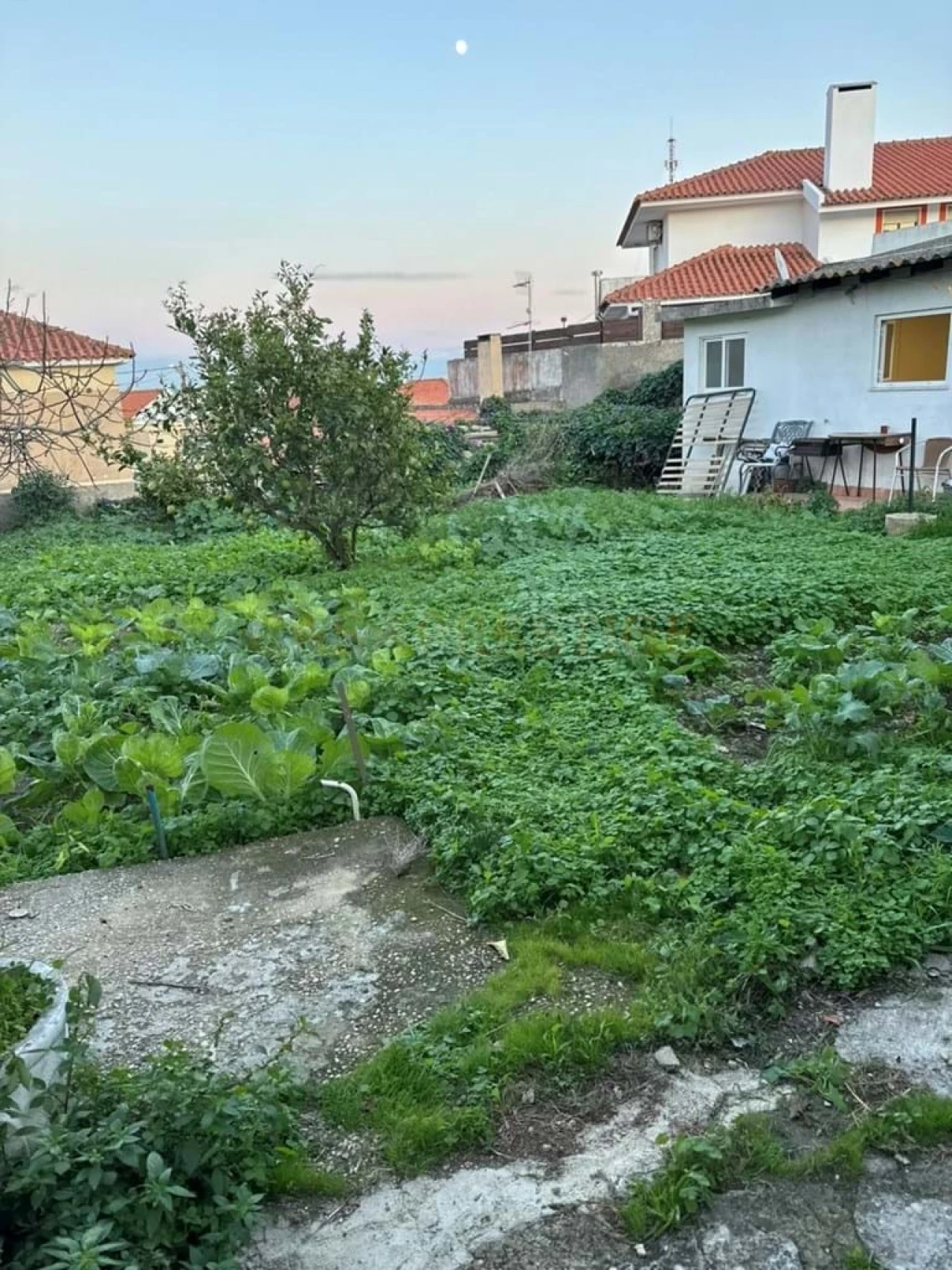 Terreno para Venda em São Domingos de Rana Foto 27