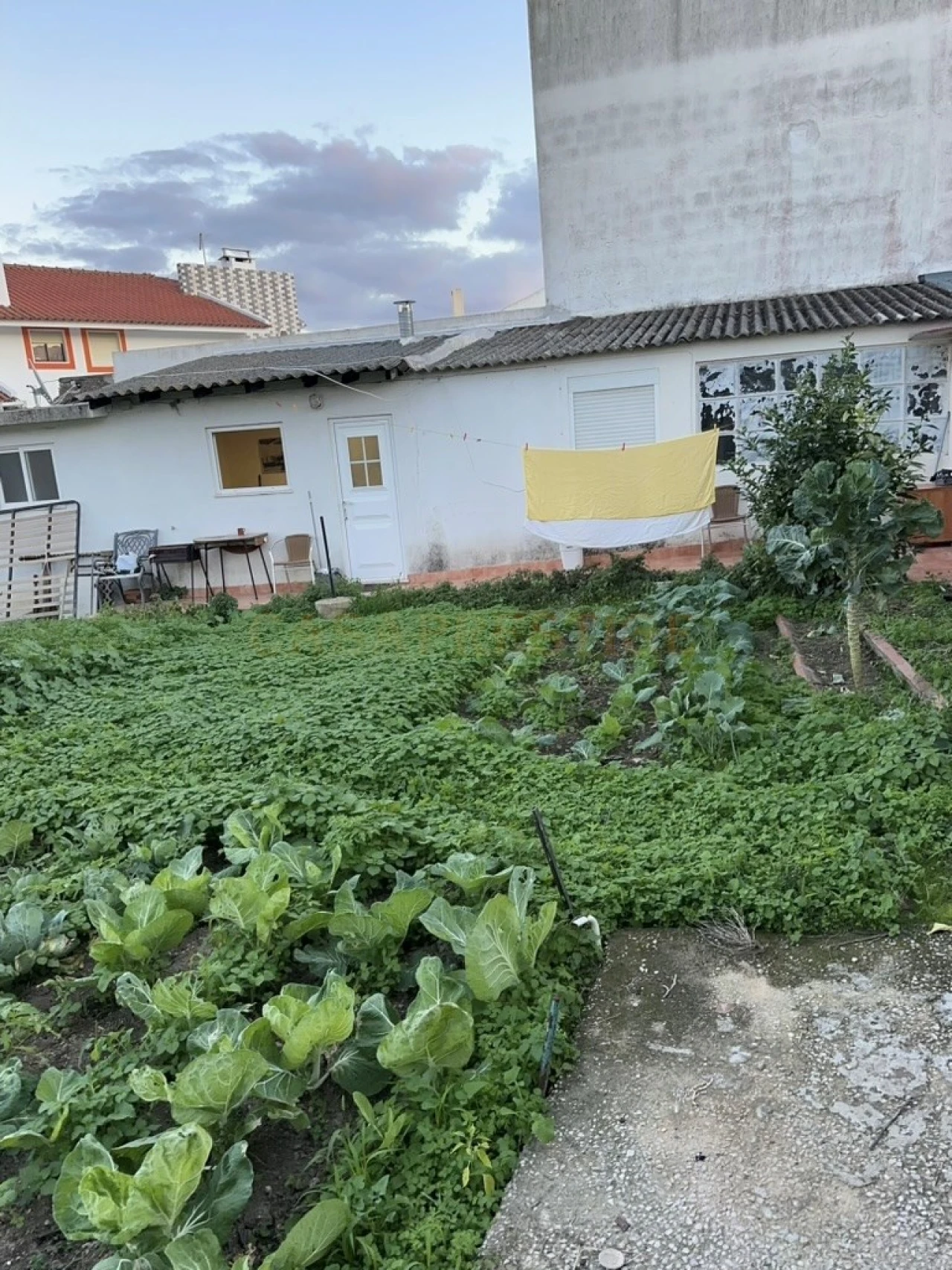 Terreno para Venda em São Domingos de Rana Foto 14