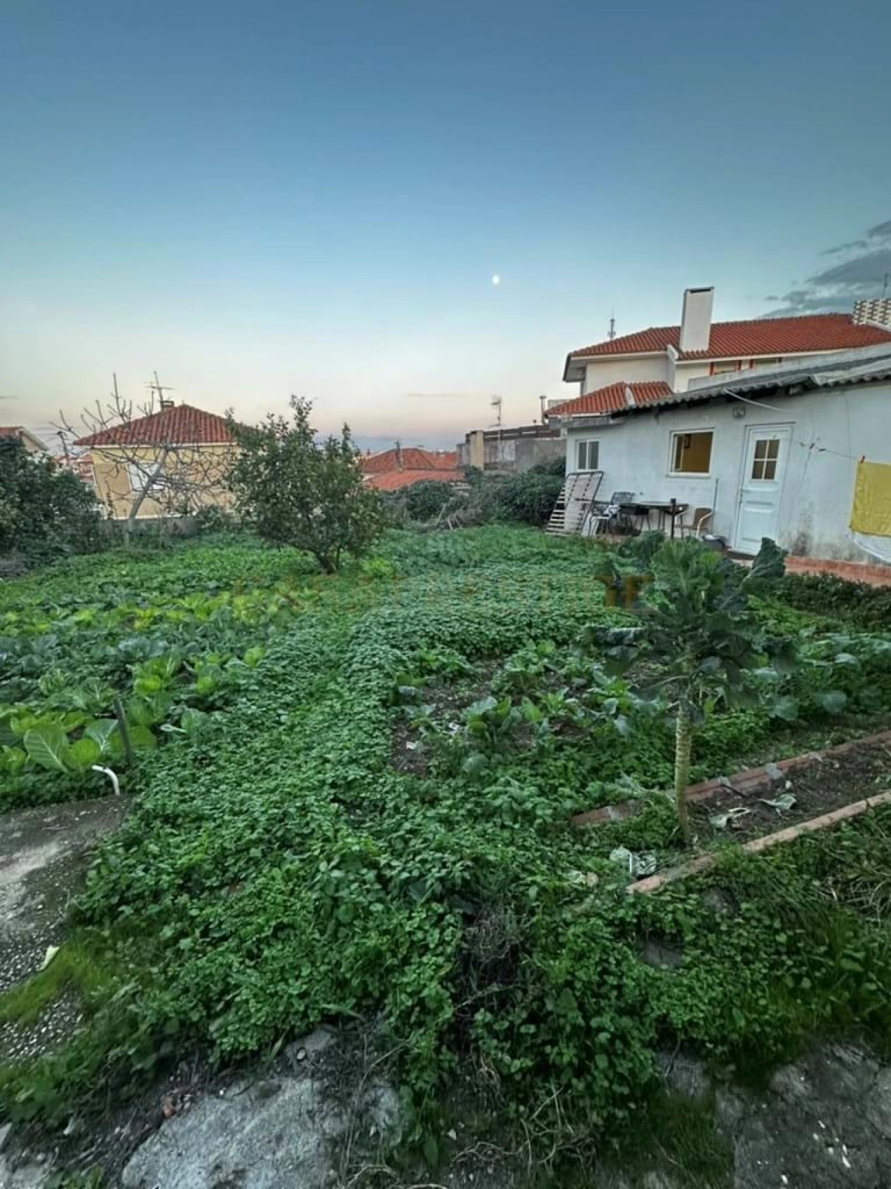 Terreno para Venda em São Domingos de Rana Foto 3