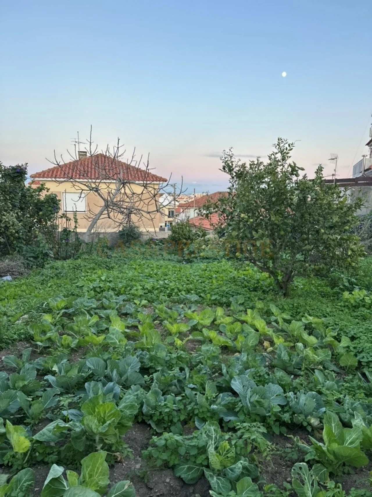 Terreno para Venda em São Domingos de Rana Foto 22