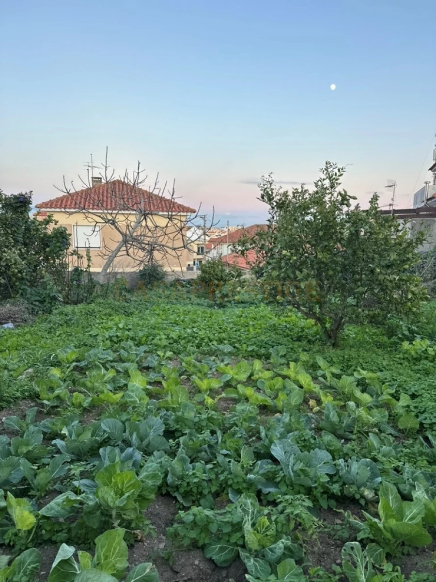 Terreno para Venda em São Domingos de Rana Foto 22
