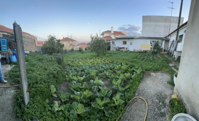 Terreno para Venda em São Domingos de Rana Foto 29