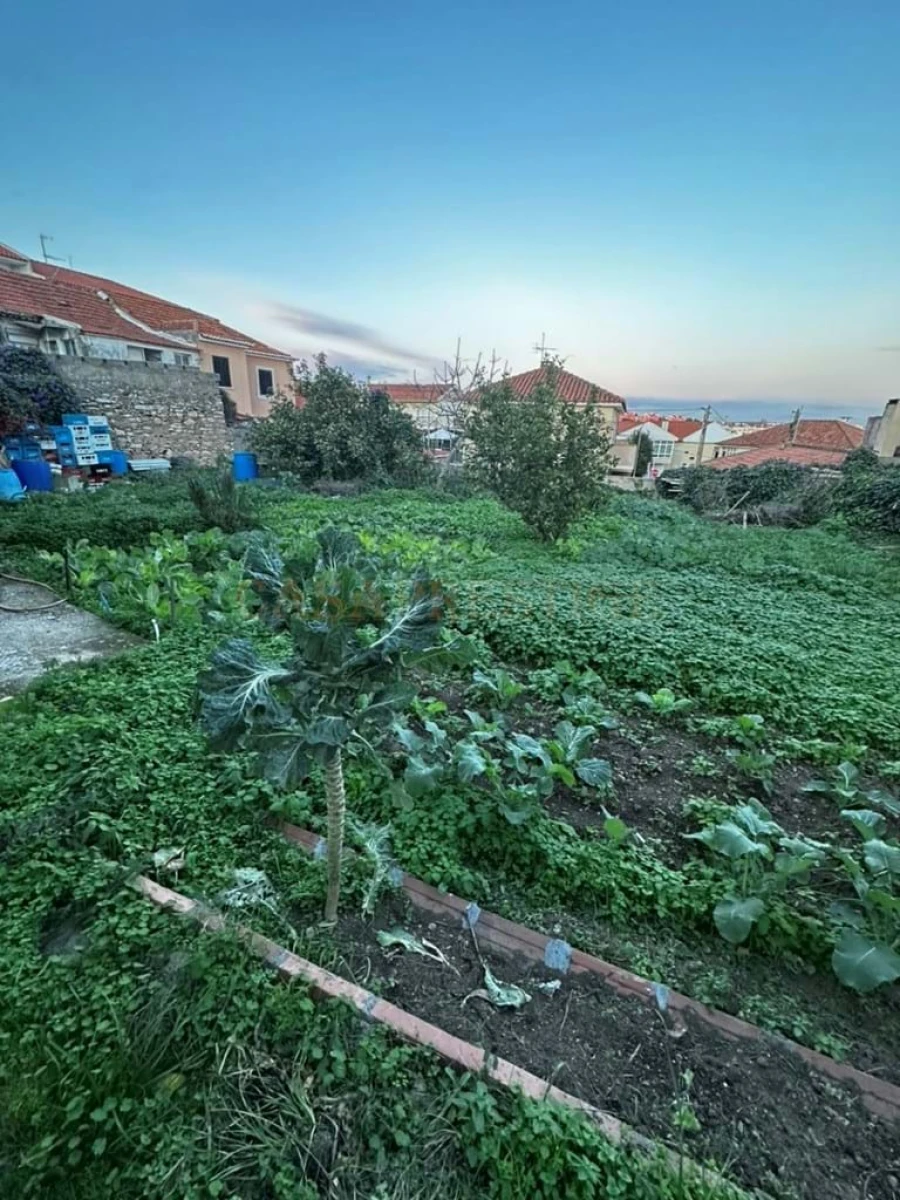 Terreno para Venda em São Domingos de Rana Foto 23