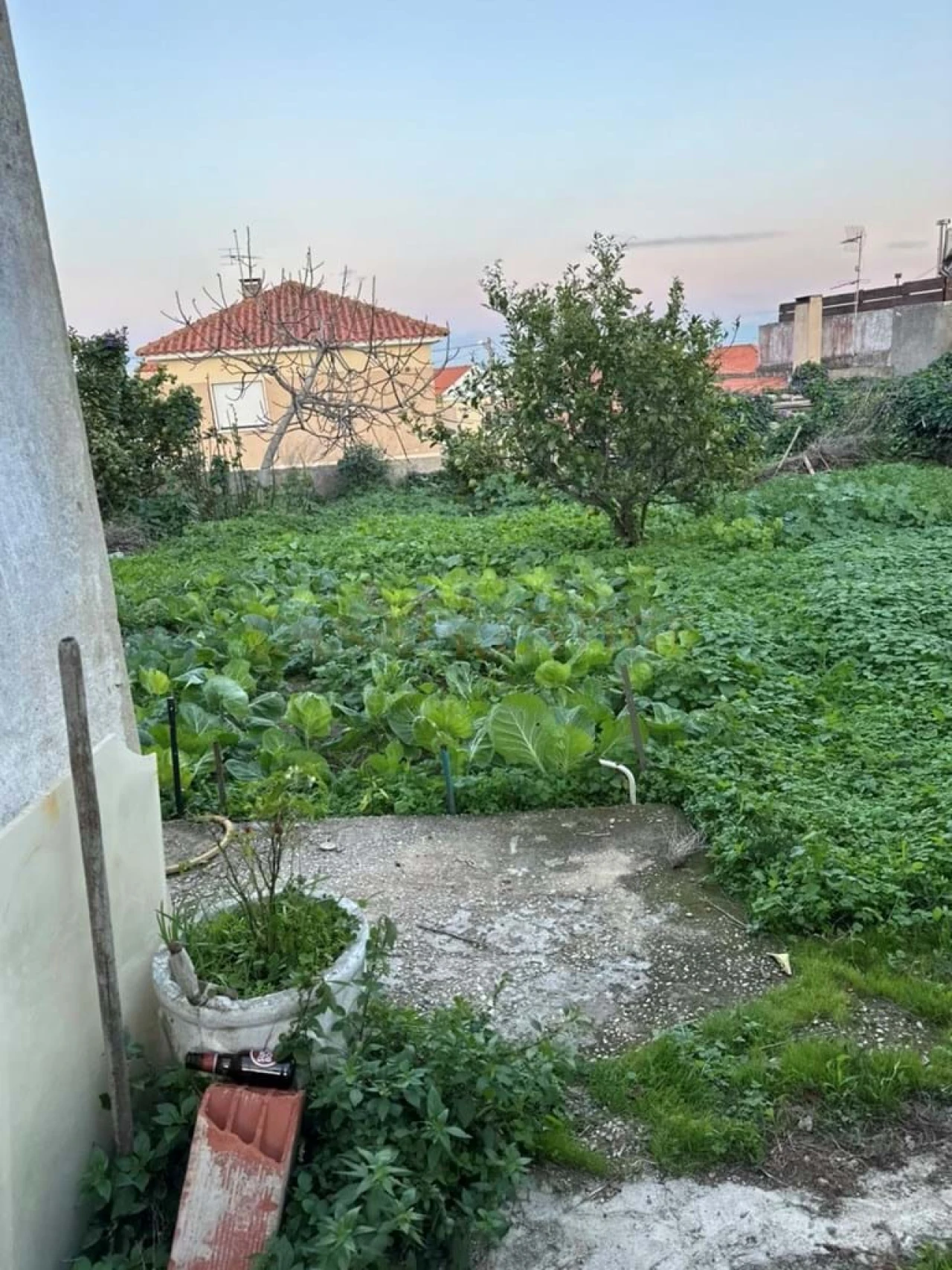 Terreno para Venda em São Domingos de Rana Foto 16