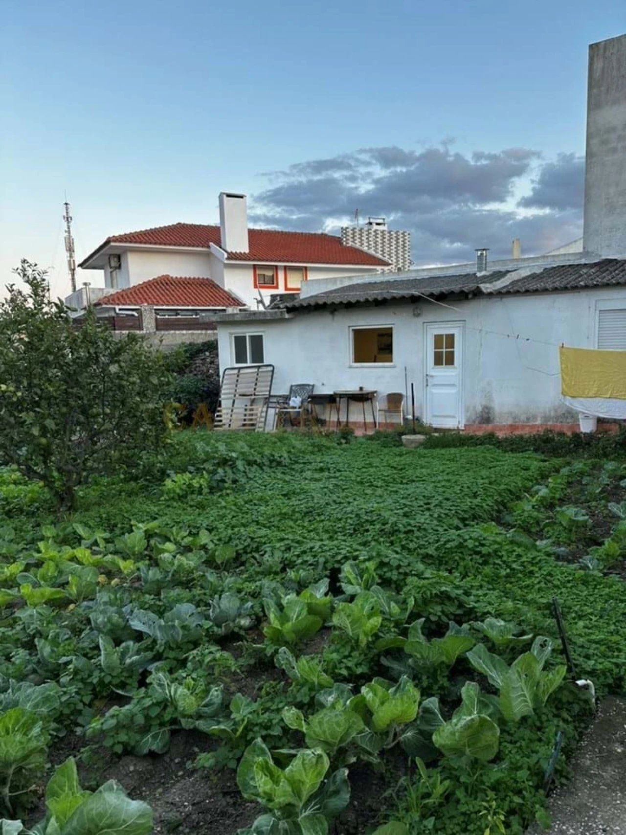 Terreno para Venda em São Domingos de Rana Foto 13