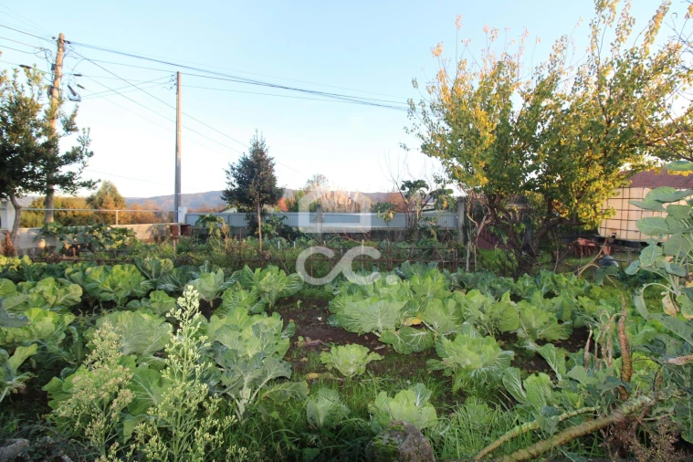 Terreno para Venda em Vale de Anta Foto 18