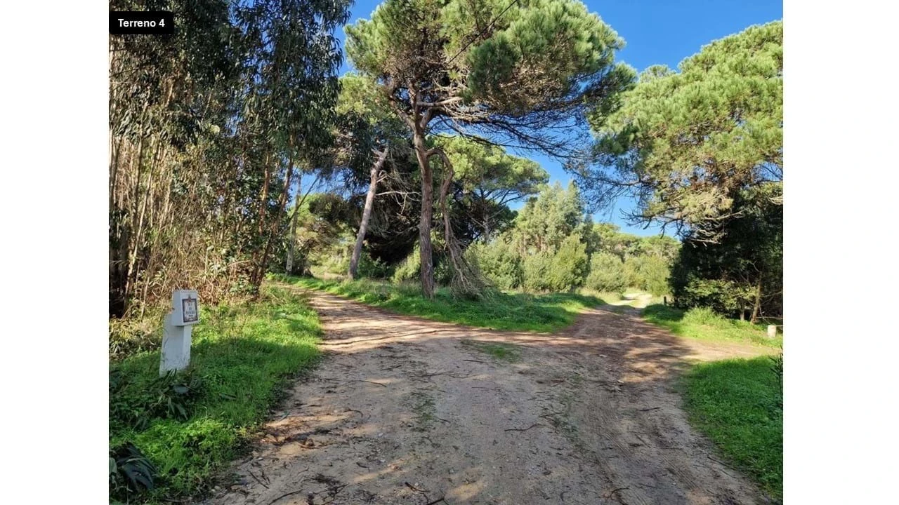 Terreno para Venda em Colares Foto 20