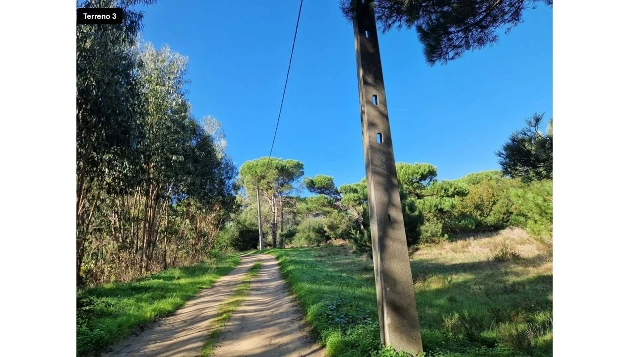 Terreno para Venda em Colares Foto 11
