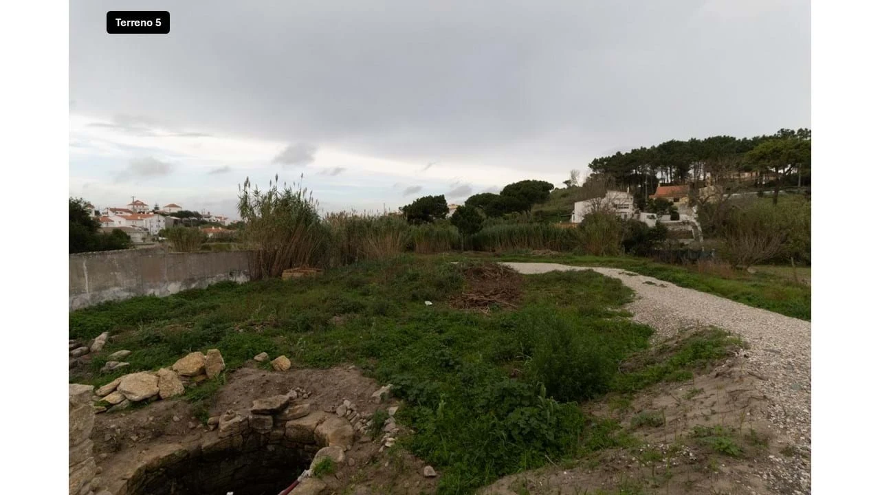 Terreno para Venda em Colares Foto 23
