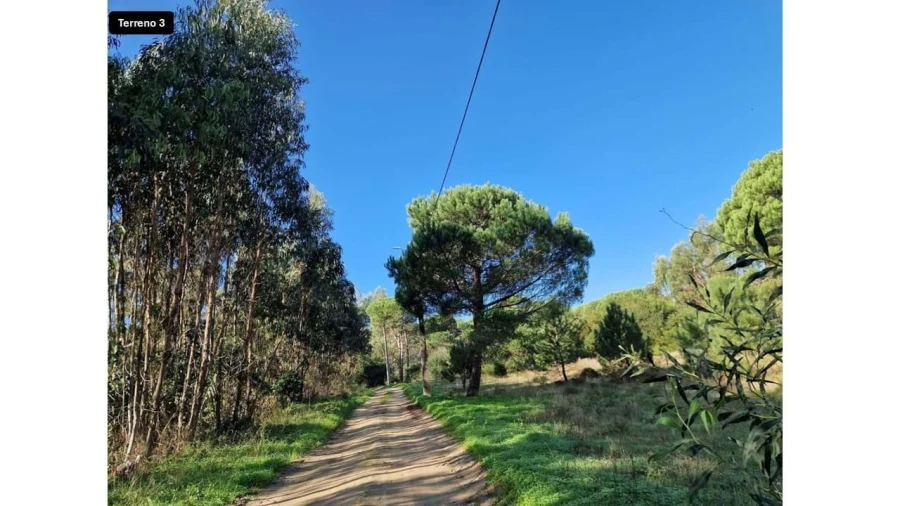 Terreno para Venda em Colares Foto 12