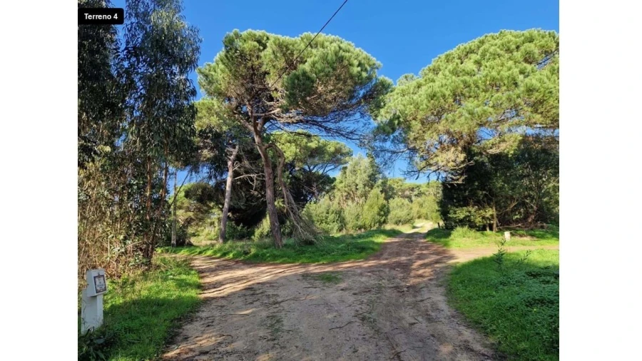 Terreno para Venda em Colares Foto 19
