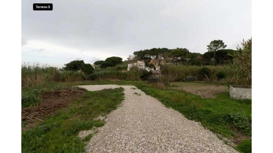 Terreno para Venda em Colares Foto 22