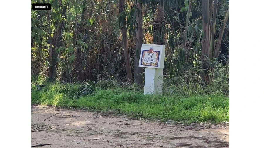 Terreno para Venda em Colares Foto 14