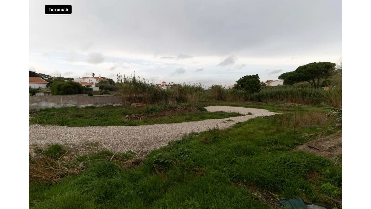 Terreno para Venda em Colares Foto 24