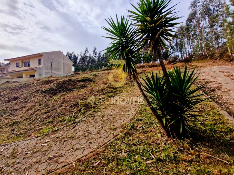 Terreno para Venda em Macieira de Sarnes Foto 7