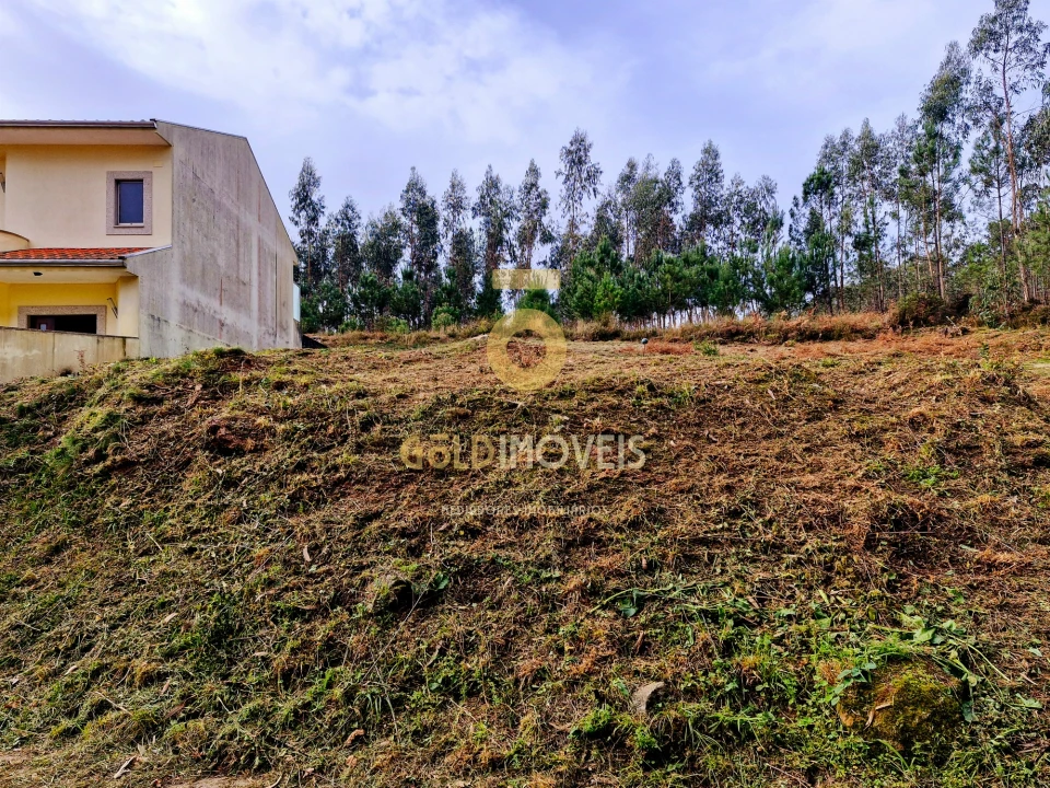 Terreno para Venda em Macieira de Sarnes Foto 5