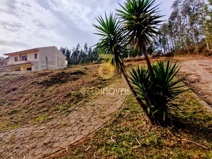 Terreno para Venda em Macieira de Sarnes Foto 7