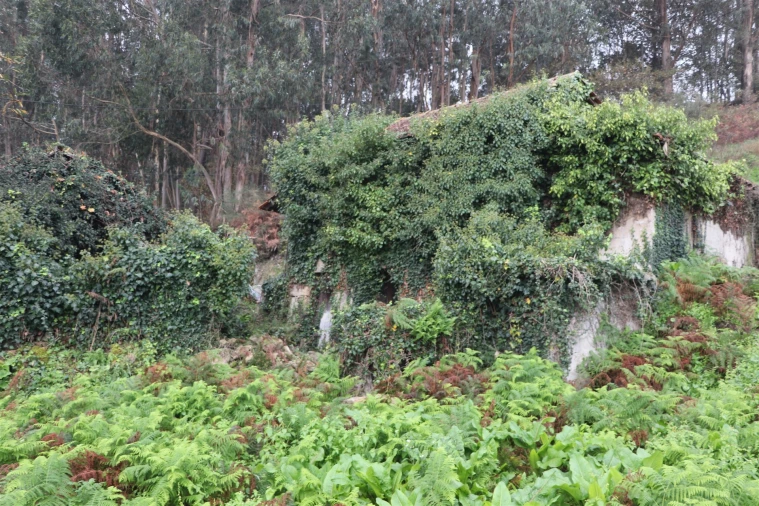 Moradia T2 para Venda em Unhão e Lordelo Foto 6
