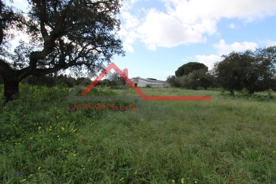 Quinta T7 para Venda em Setubal (São Sebastião) Foto 16