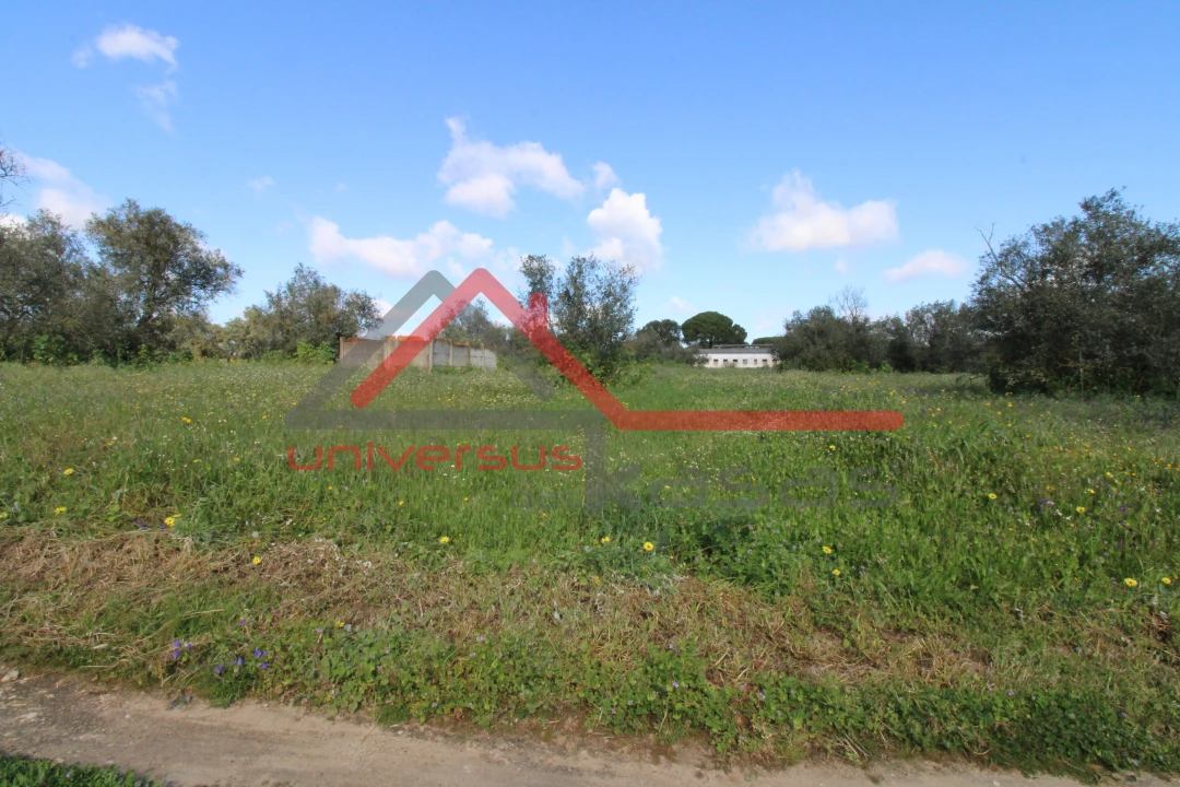 Quinta T7 para Venda em Setubal (São Sebastião) Foto 15