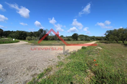 Quinta T7 para Venda em Setubal (São Sebastião)