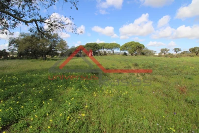 Quinta T7 para Venda em Setubal (São Sebastião)