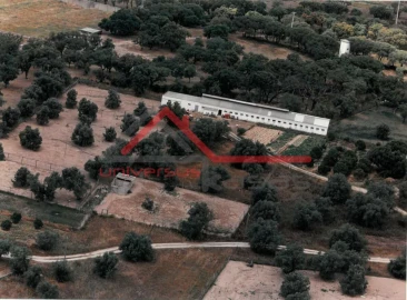 Quinta T7 para Venda em Setubal (São Sebastião)