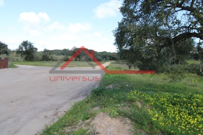Quinta T7 para Venda em Setubal (São Sebastião)