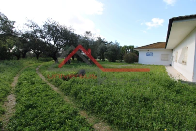 Quinta T7 para Venda em Setubal (São Sebastião)