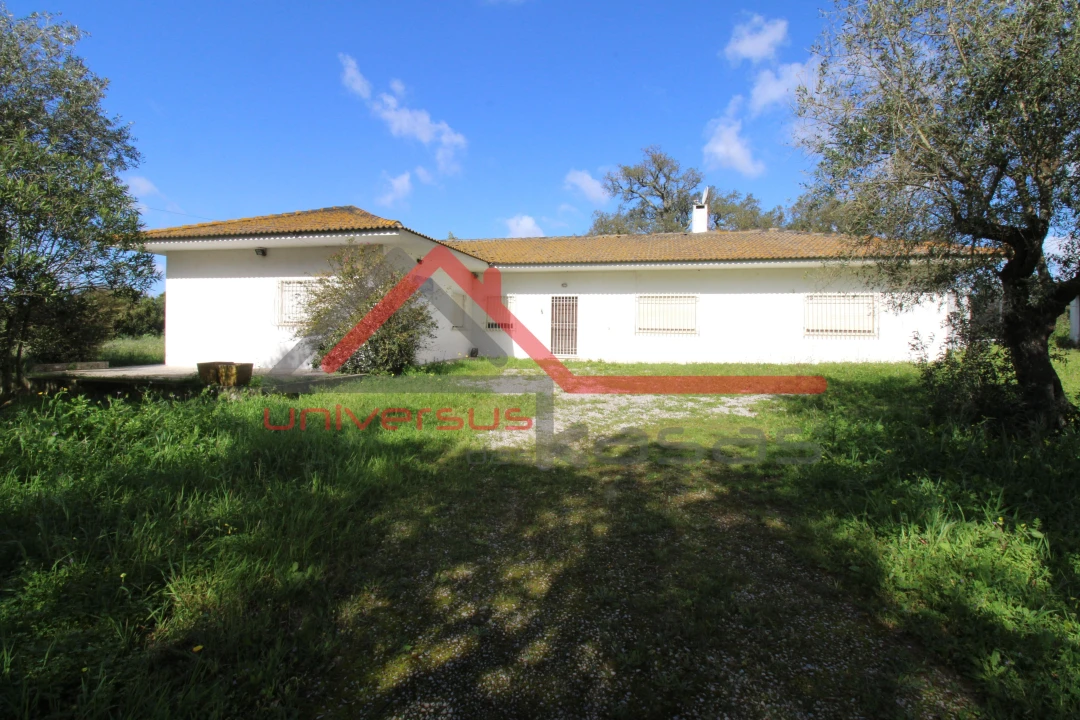 Quinta T7 para Venda em Setubal (São Sebastião) Foto 6