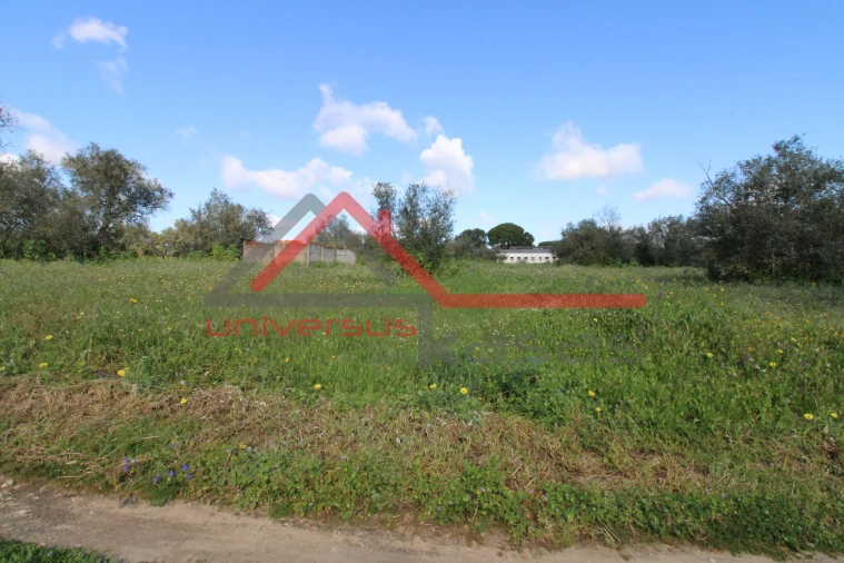 Quinta T7 para Venda em Setubal (São Sebastião) Foto 15