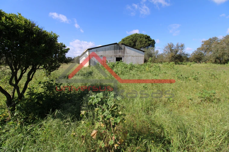 Quinta T7 para Venda em Setubal (São Sebastião) Foto 10