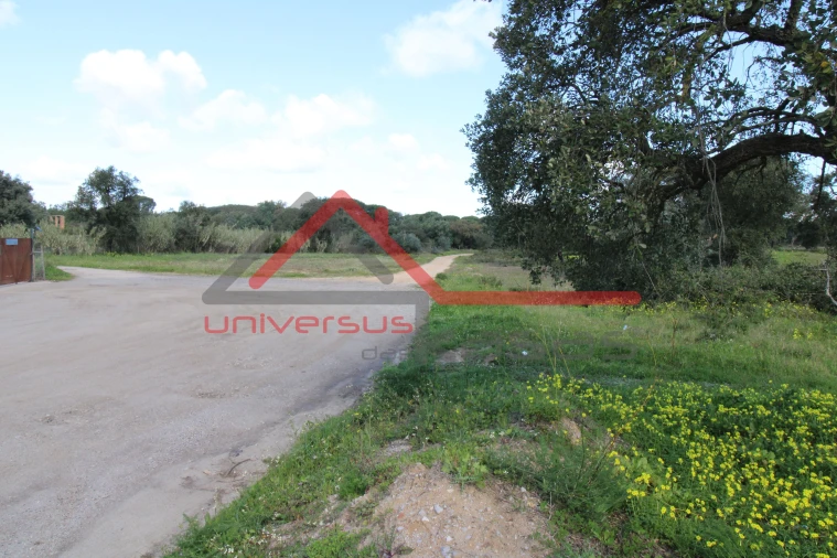 Quinta T7 para Venda em Setubal (São Sebastião) Foto 17