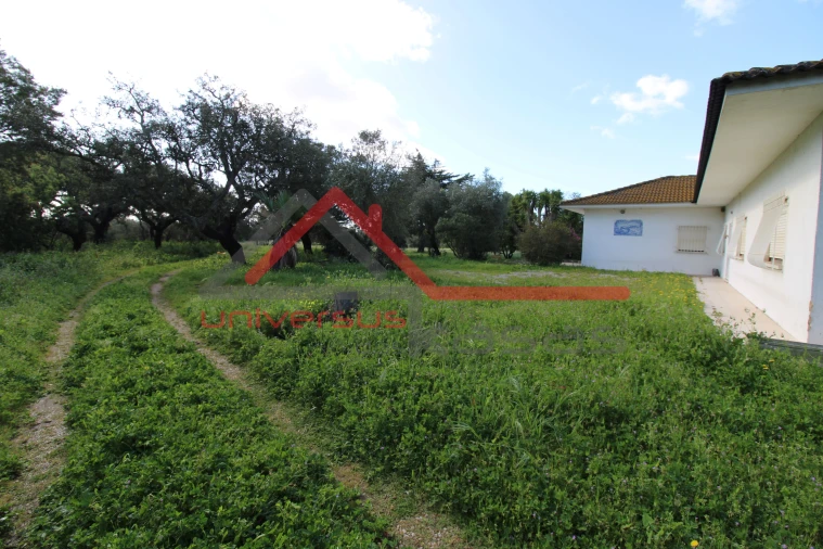 Quinta T7 para Venda em Setubal (São Sebastião) Foto 13