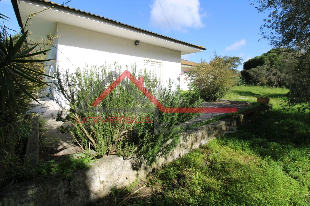 Quinta T7 para Venda em Setubal (São Sebastião) Foto 12