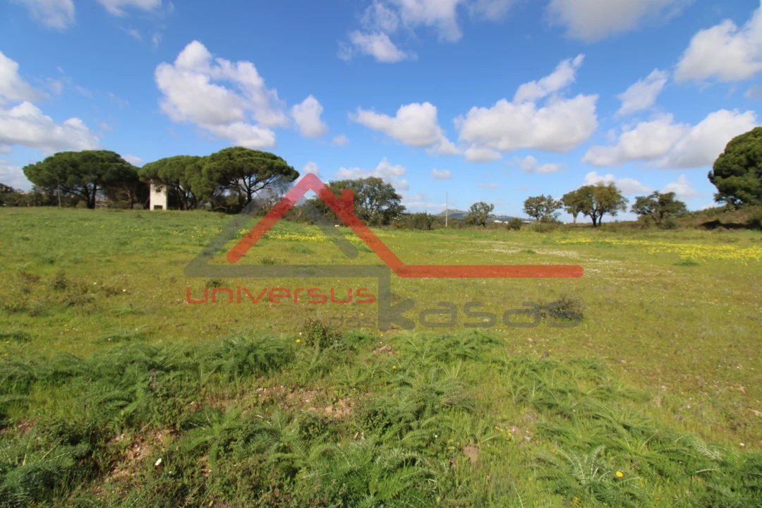 Quinta T7 para Venda em Setubal (São Sebastião) Foto 3