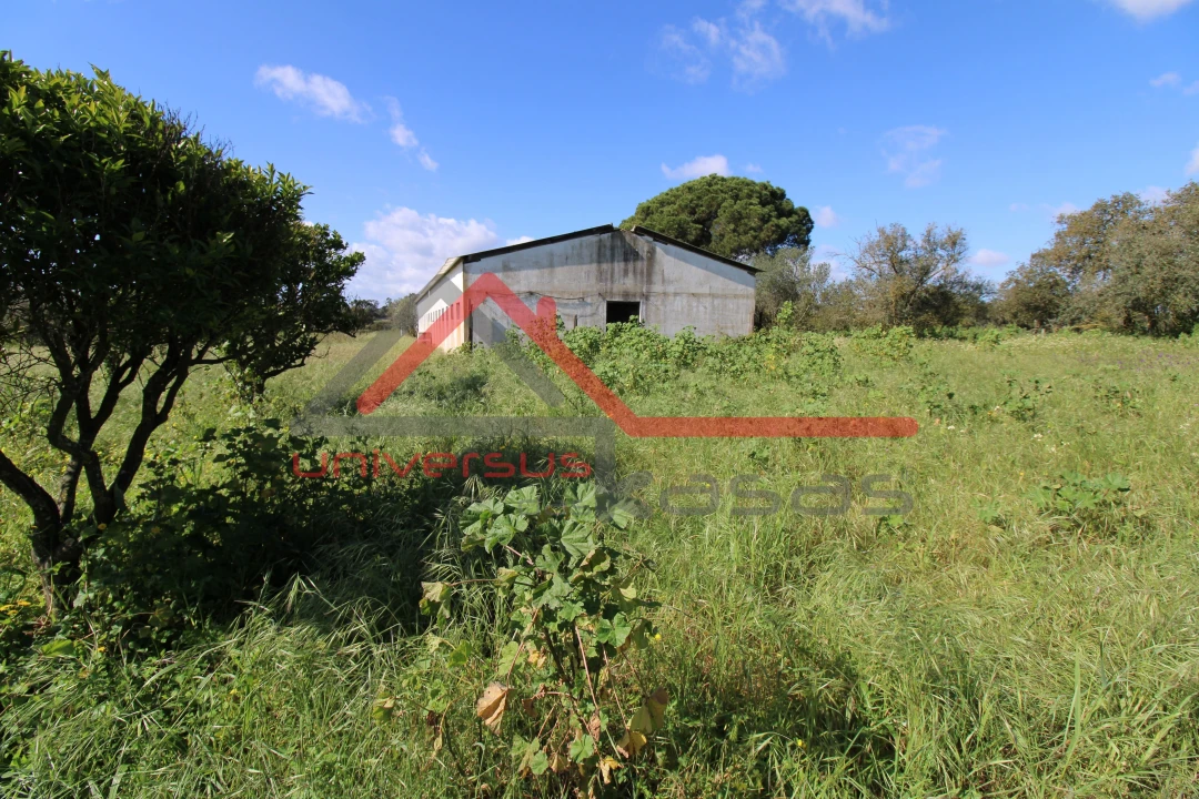 Quinta T7 para Venda em Setubal (São Sebastião) Foto 10