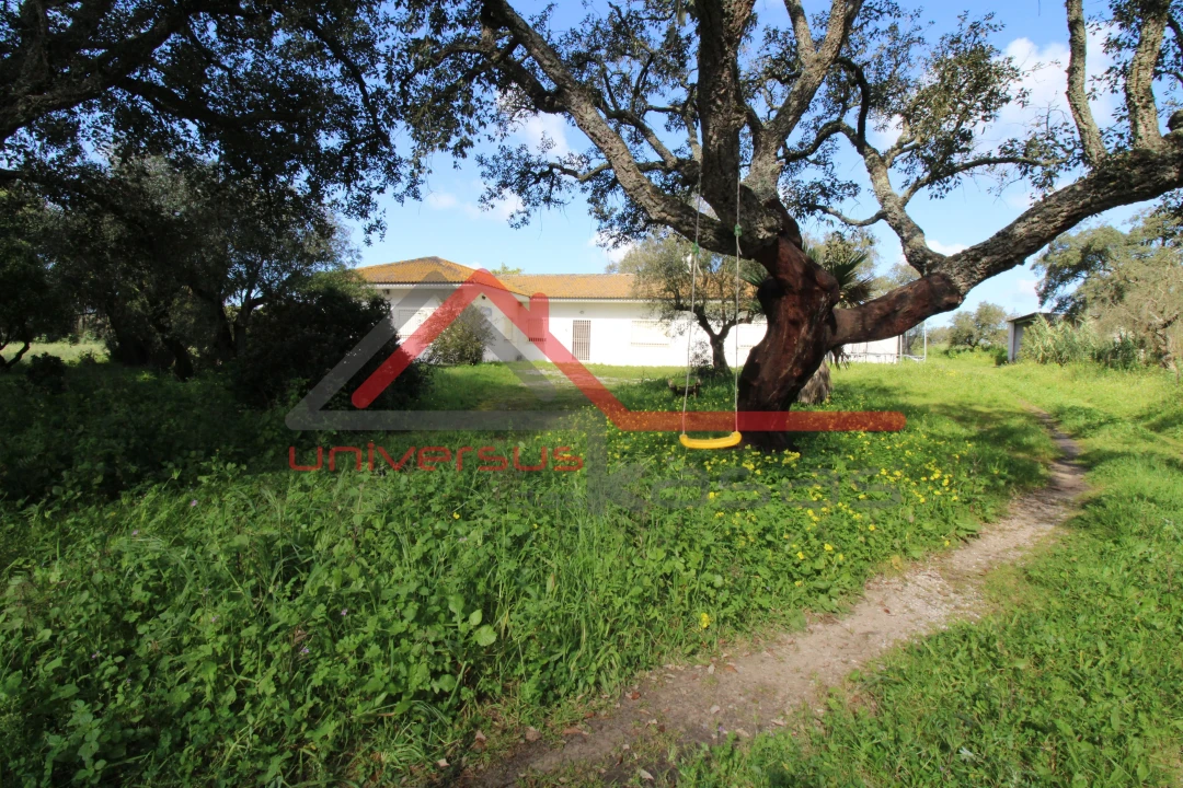 Quinta T7 para Venda em Setubal (São Sebastião) Foto 4