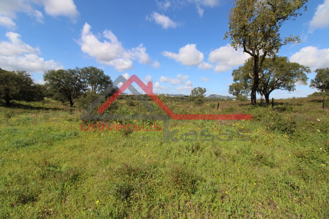 Quinta T7 para Venda em Setubal (São Sebastião) Foto 9