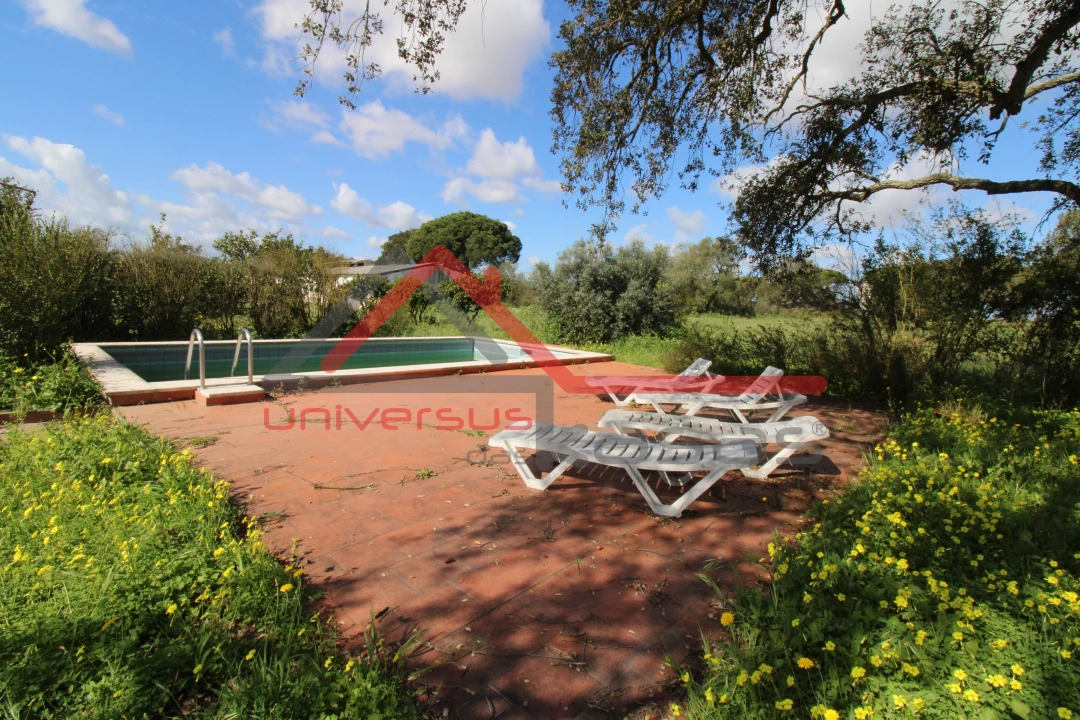 Quinta T7 para Venda em Setubal (São Sebastião) Foto 5