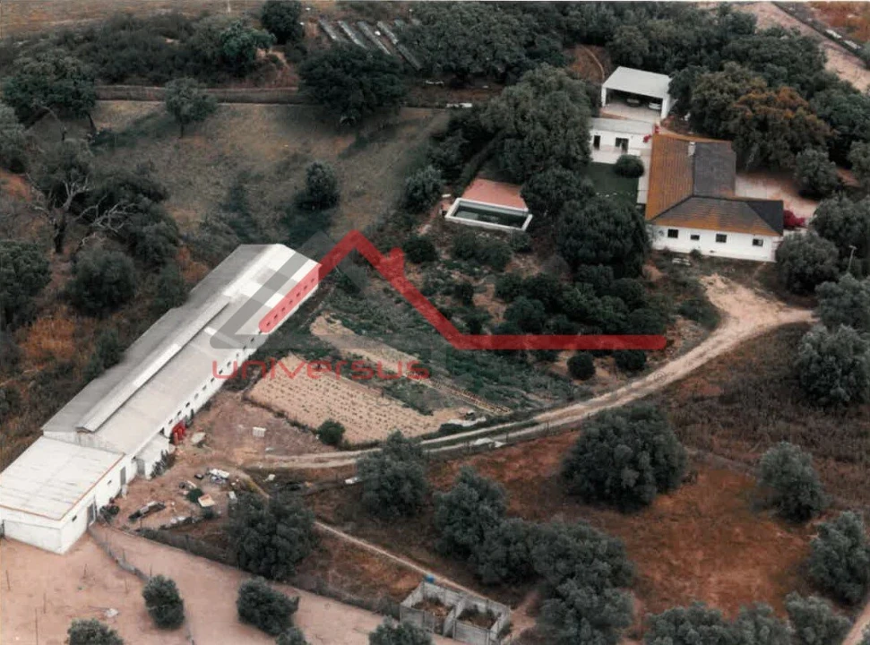 Quinta T7 para Venda em Setubal (São Sebastião) Foto 2